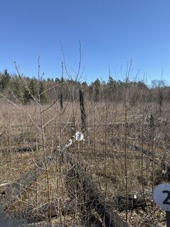 Foto von Steffen Kiesel entlang der Tour