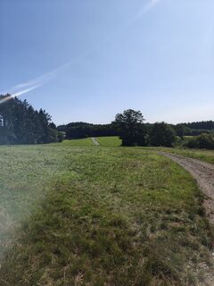 Foto von Mariska Brouwers entlang der Tour