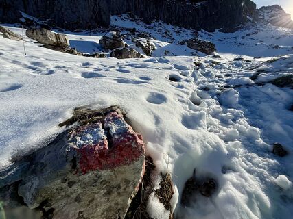 Foto von Natur_erleben_dg entlang der Tour