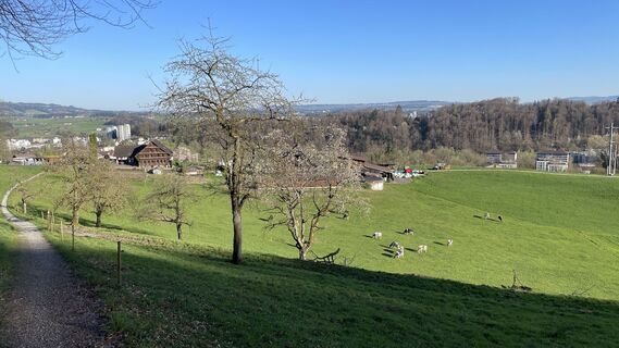 Foto von Peter Burki entlang der Tour