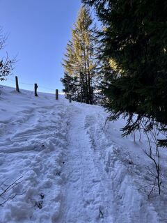 Fotografie z Angelina Starke na trase