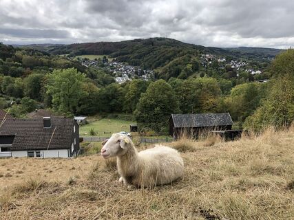Karte