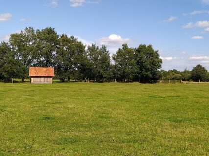 naturnahe Wiesen im Naturschutzgebiet am Janhaarspool