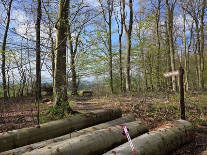 Foto von Frank Köhler 4 entlang der Tour