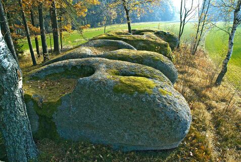 Naturdenkmal Fünf Brüder