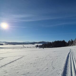 Winterspaß auf der Center Parcs Loipe