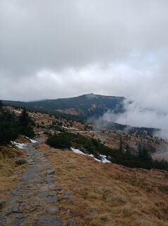 Photo de Daniel Kremiec le long du parcours