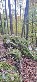 Foto von Markus Ortner entlang der Tour