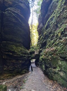 Foto da Dima lungo il tour