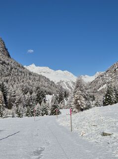 Fotografija s spletne strani Thomi W na poti