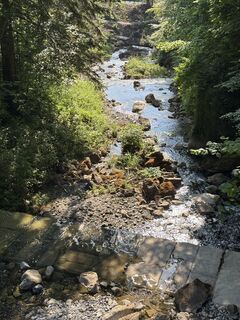 Foto fra Dominik Wymann underveis på turen