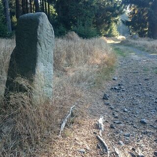 Wappenstein am Rennsteig