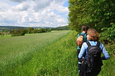 Pfad am Lüningsberg, Aerzen