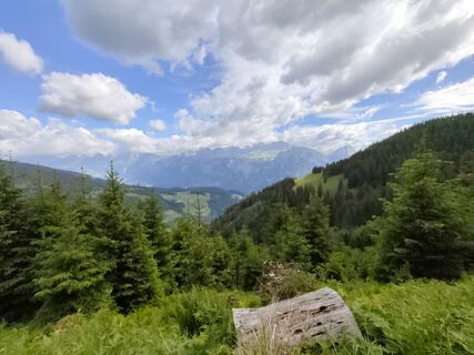 Foto von Peter Seliner entlang der Tour