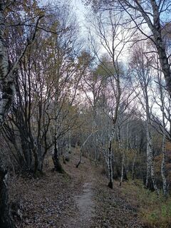 Foto de Aner a lo largo del recorrido