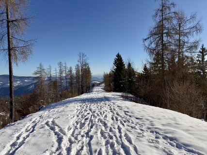 Photo de firebird 93 le long du parcours