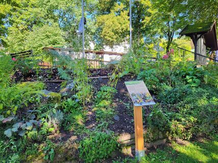 Kräutergarten am Vogelerlebnispfad Medebach-Dreislar