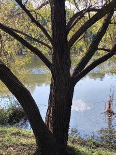 Foto von Horváth Ernő entlang der Tour