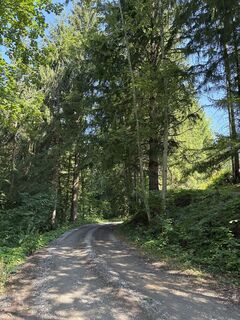 Photo de Heinz Sperl le long du parcours