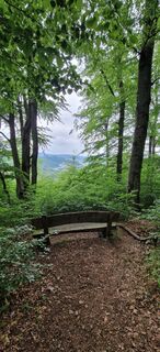 Foto da Silent Viking lungo il tour