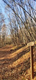 Zdjęcie z Daniele Spezia wzdłuż trasy