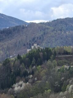 Fotografia z Rob Woll na trase