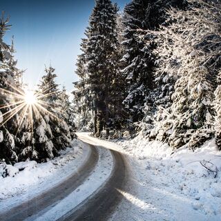 Am Weg hoch zur Brennhütte