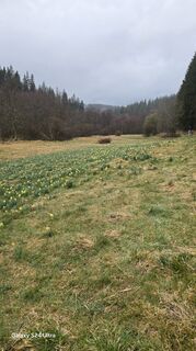 Foto de Edit Szoboszlay a lo largo del recorrido