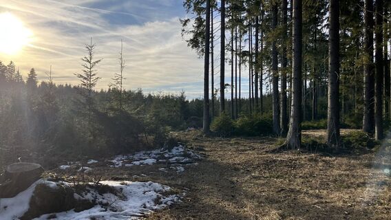 Zdjęcie z Christian Kakuska wzdłuż trasy