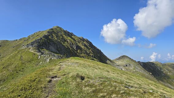 Photo de Monika Rohrer le long du parcours