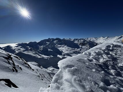 Foto von Paua Bär entlang der Tour