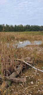 Foto von Buchegger Barbara entlang der Tour