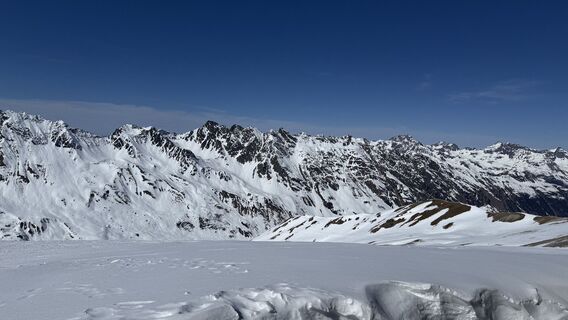 Fotografia z DOROTA KRASNODĘBSKA na trase