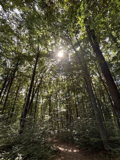 Fotografia z RS76 na trase