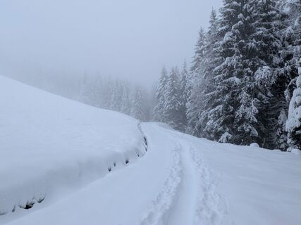 Photo de Guillaume Oriez le long du parcours