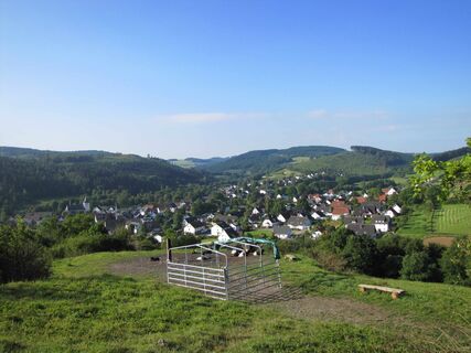 Blick vom Gipfelkreuz auf die Steinert mit den Ziegen und auf Allendorf