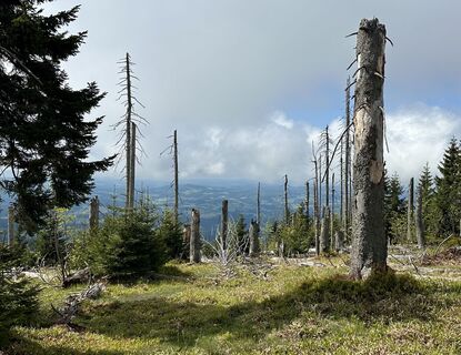 Fotó a Dani Geiger / Natur_erleben_dg honlapról a túra során