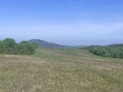 Foto de Làszló Visi a lo largo del recorrido