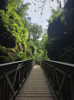 Fotografija s spletne strani Wil van Delft na poti