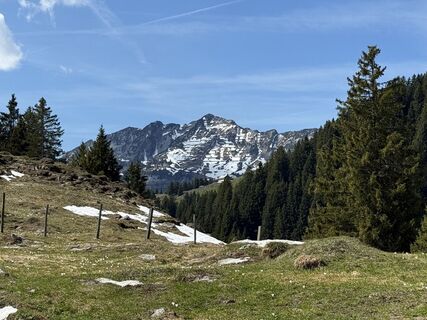 Fotografija s spletne strani Daniel Herz na poti