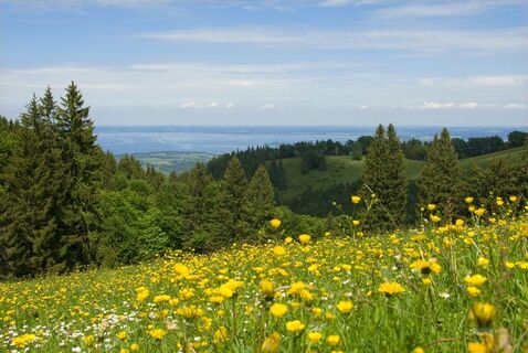 Blick zum Chiemsee