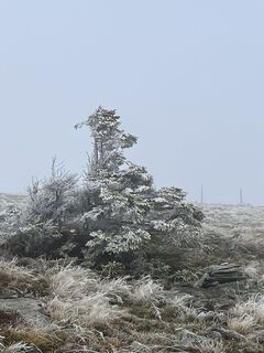 Photo de Ernestine Wurzinger le long du parcours