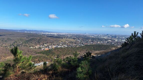 Fotografie z Regina Fleischmann na trase