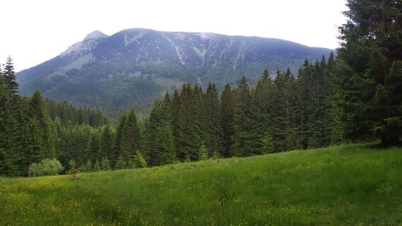 Blick auf den Großen Ötscher