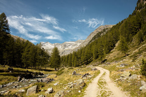 Blick ins Patschertal