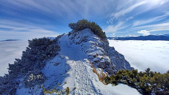 Zdjęcie z tina wzdłuż trasy