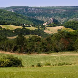Zemljevid