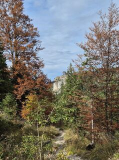 Photo de melvet le long du parcours