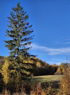 Foto von Péter Csomor entlang der Tour