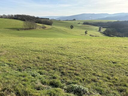 Fotografie z Sascha Marx na trase